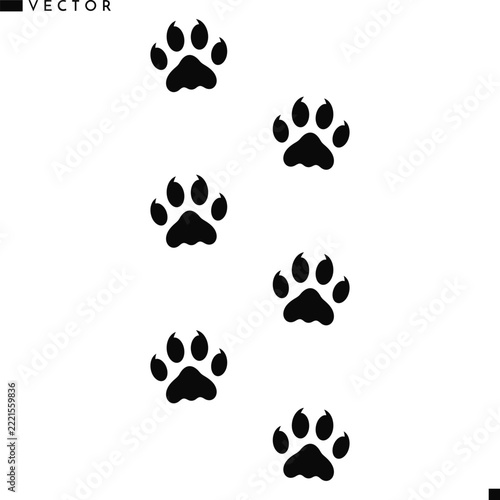 Lion paw prints vector 
