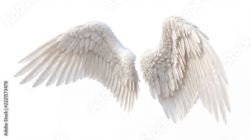 Pair of large white angel wings with soft feathers