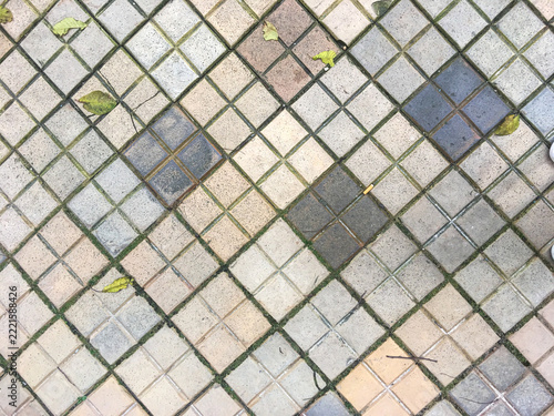 Diagonal cobblestone pavement with autumn leaves