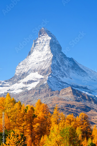 Vertical photo. Matterhorn mountain peak rising above a colorful autumn forest in Zermatt, Switzerland. Alpine autumn landscape. Background, postcard, wallpaper.