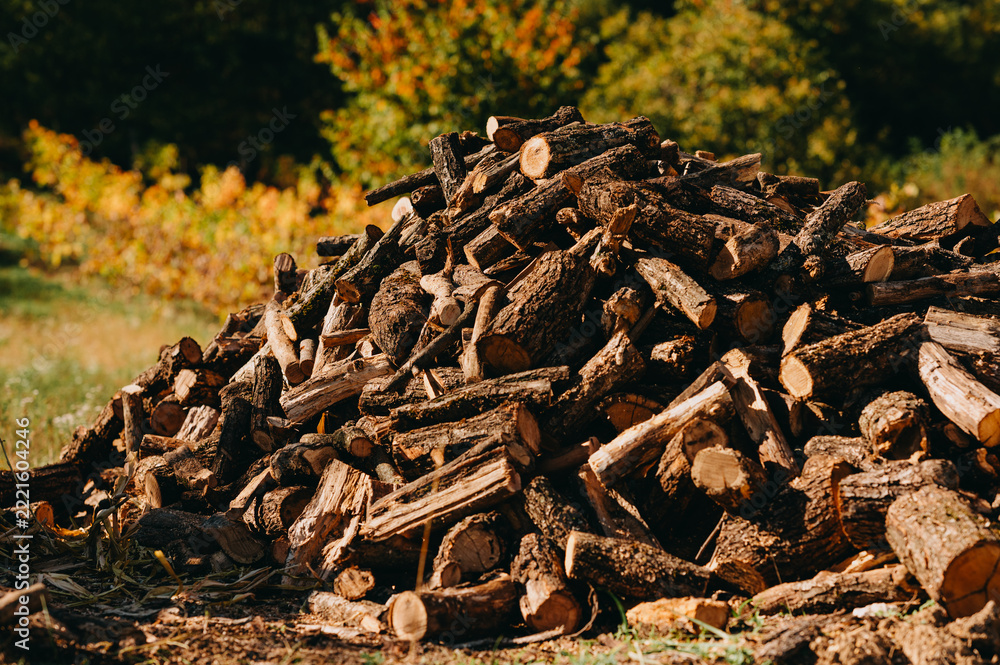 Fototapeta premium pile of cut firewood logs stacked outdoors in sunlit autumn clearing with blurred trees and golden foliage
