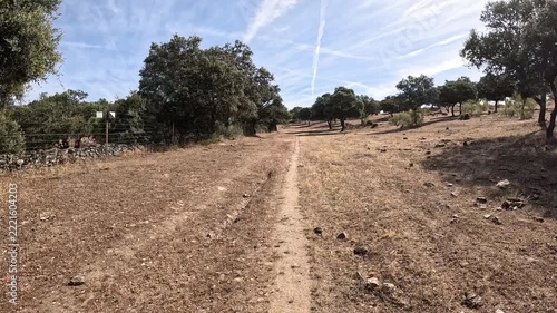 Via de la Plata, dirt road through a rural landscape between Grimaldo and Galisteo, province of Caceres, Extremadura, Spain