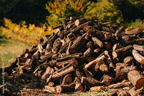 pile of cut firewood logs stacked outdoors in sunlit autumn clearing with blurred trees and golden foliage