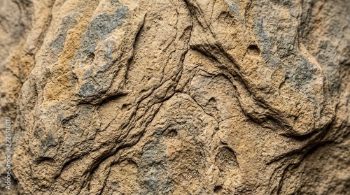 Close-up of weathered stone featuring intricate textures and natural patterns.