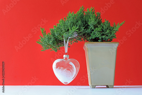 Christmas tree decoration hanging from a cascade juniper bonsai tree