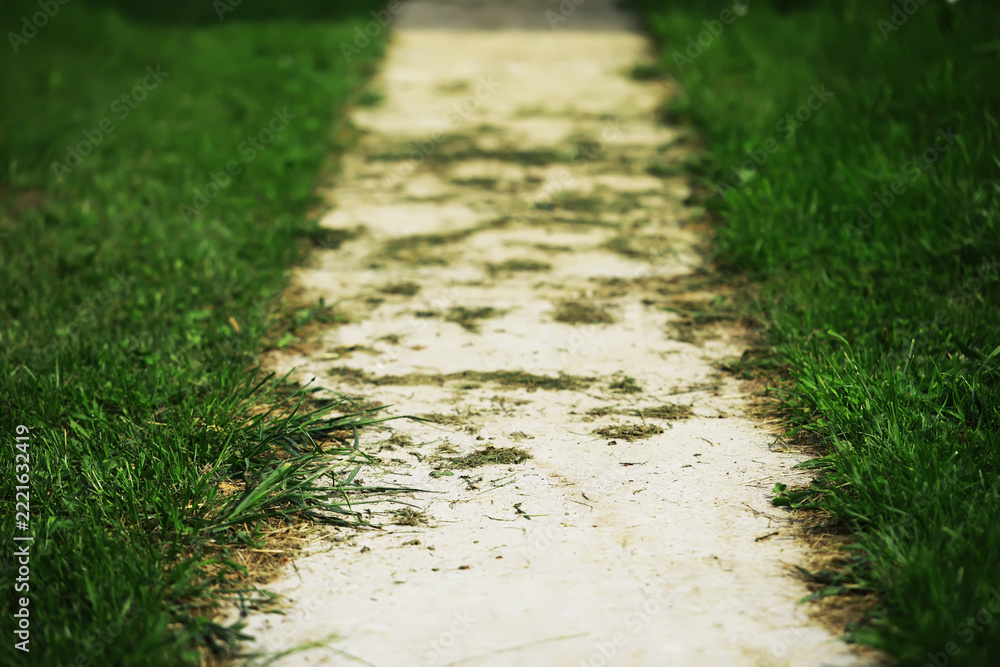 Fototapeta premium Narrow Concrete Pathway Through Lush Green Grass in a Peaceful Outdoor Setting