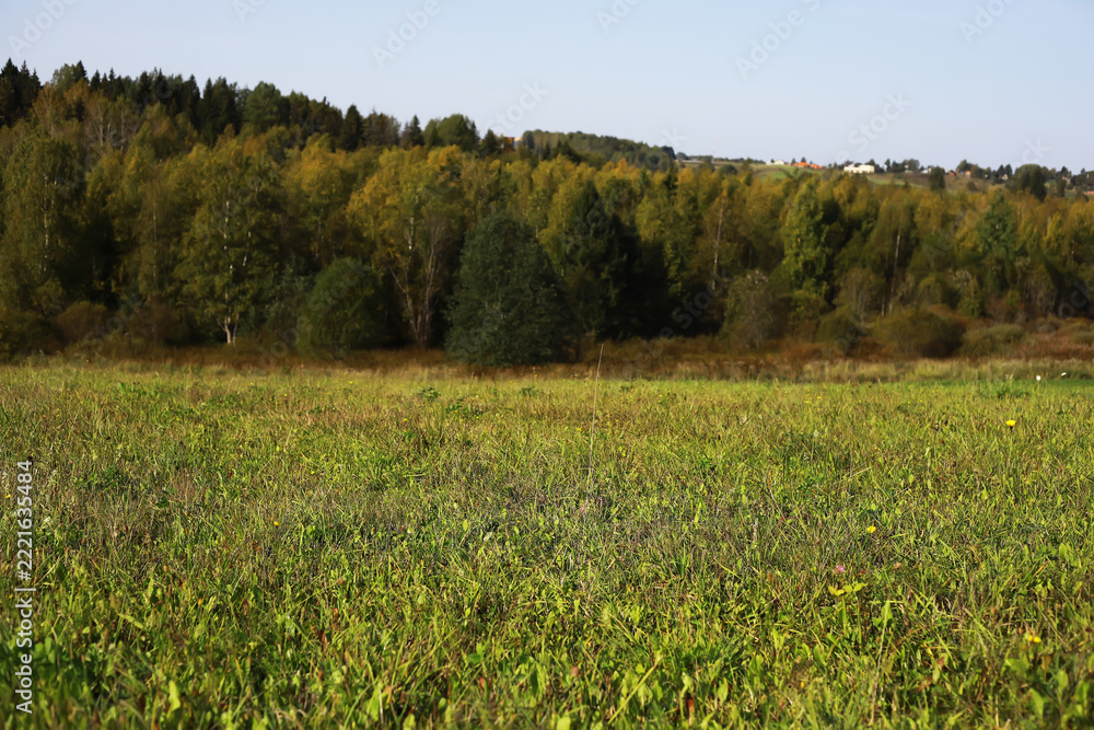 Naklejka premium Lush Green Field with Forested Hills Under Clear Blue Sky