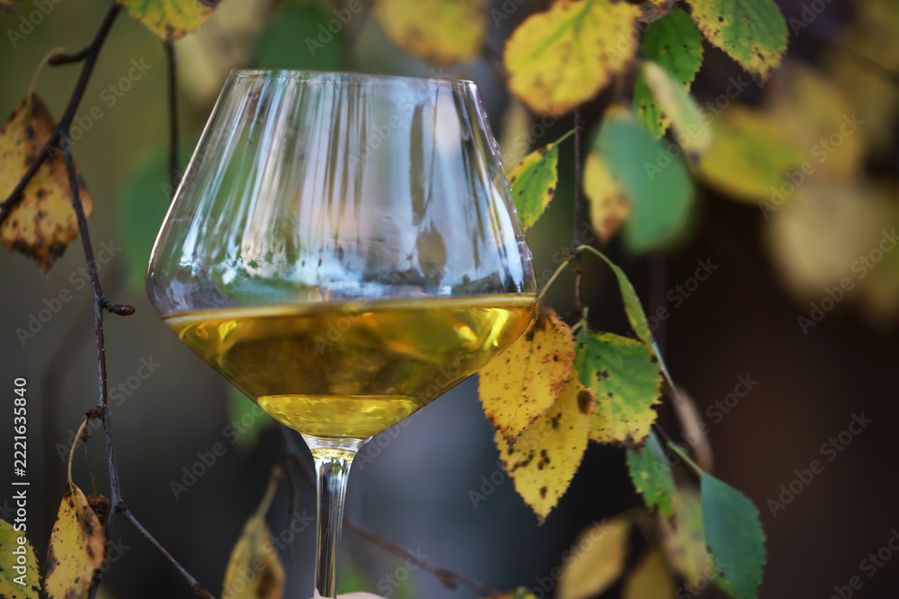 Fototapeta premium Elegant Autumn Vibes: Glass of White Wine Amidst Vibrant Fall Foliage for Seasonal Celebrations