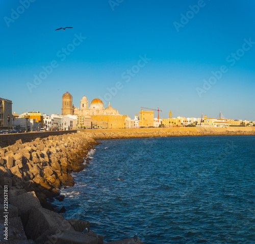 Beautiful view at day of the cathedral of Cadiz called cathedral de Santa Cruz