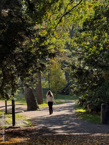 Woman Walking Along a Park Path Beneath a Canopy of Trees