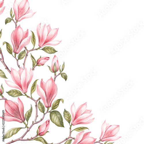 Awesome magnolia border.