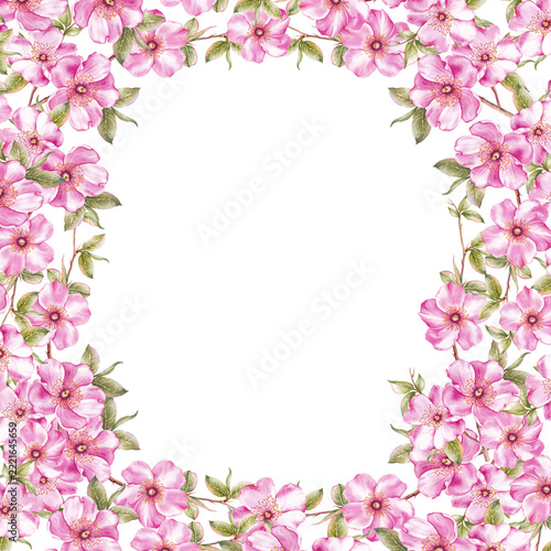 Frame of pink sakura flowers.