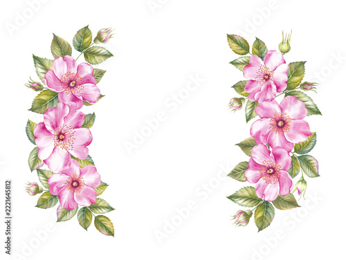 Vintage garland of blooming roses.