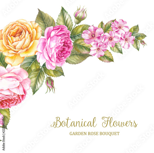 The Botanical Flowers.