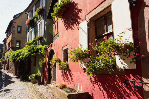 holiday trip to the landscape of southern france