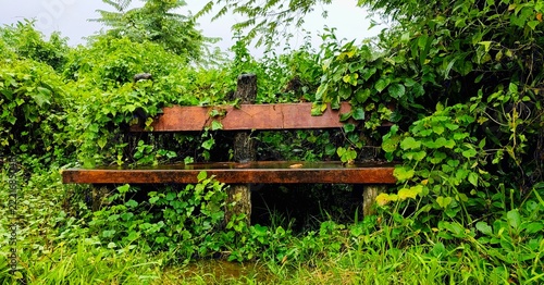 Wooden park bench surrounded by dense lush green vines and bushes in overgrown outdoor garden