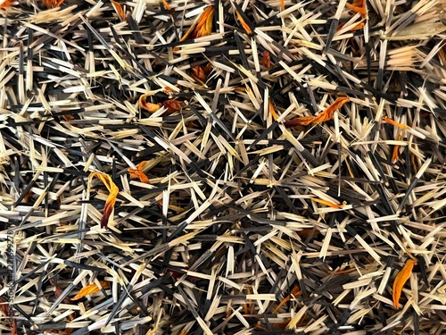 Viele Samen von Studentenblumen / Tagetes