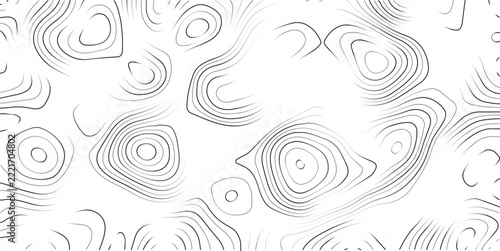 Topographic Lines Creating an Abstract Landscape Map Pattern
