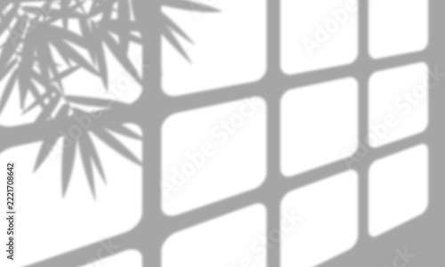 Shadow of a window frame and bamboo leaves on a flat surface