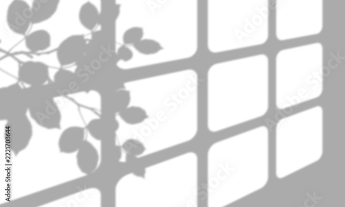 Natural leaf shadow and window frame overlay on a flat grey surface