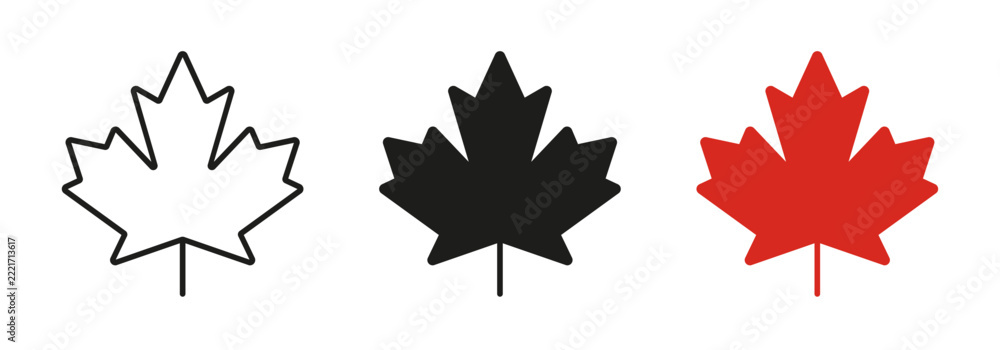 Fototapeta premium Maple leaf icon set in outline and solid style. National canadian emblem maple leaves sign