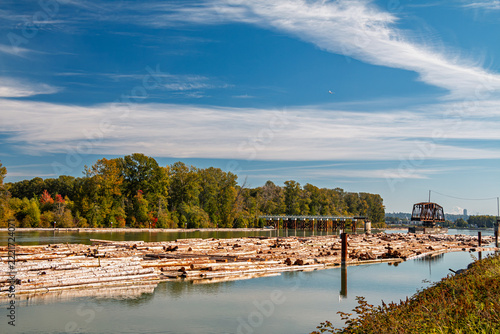 Logs floating on the Fraser River near a railway bridge in Vancouver, British Columbia