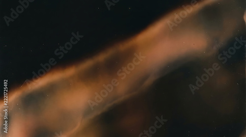 A close up view of a dark brown horse neck showing the texture of the mane and skin