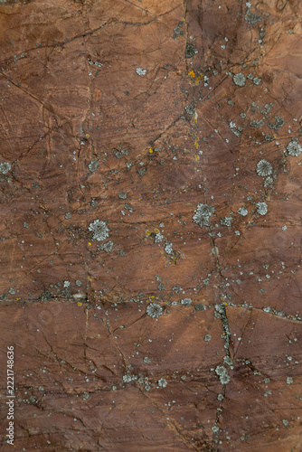 Detailed close-up of brown rock with gray and yellow lichen, showcasing natur...
