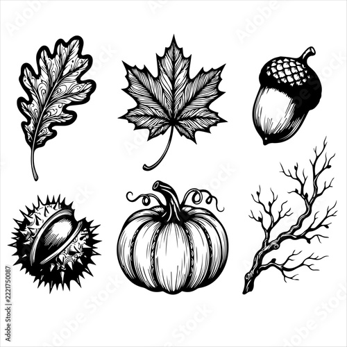 Autumn harvest botanical collection with oak leaf and pumpkin and acorn