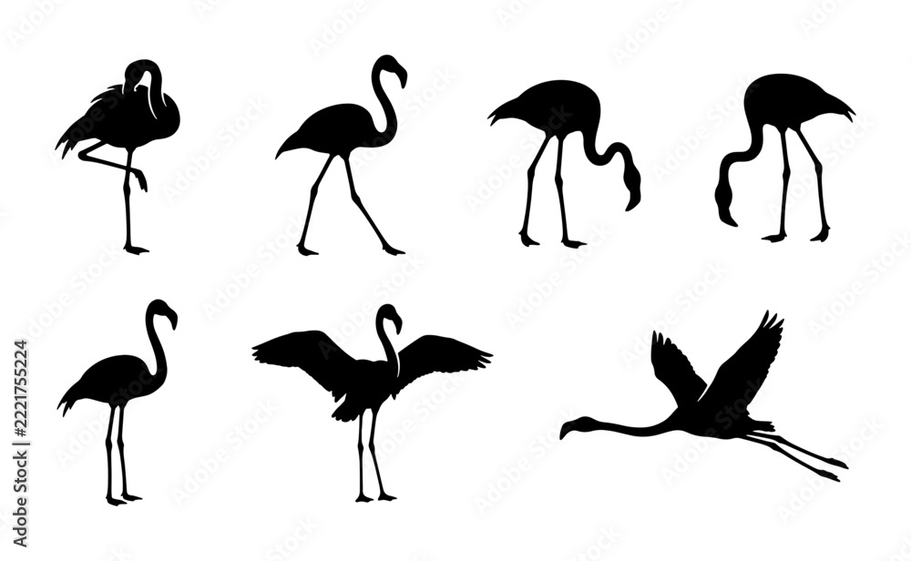 Fototapeta premium Flamingo silhouettes set with birds in various poses, flight and standing for wildlife or zoo design