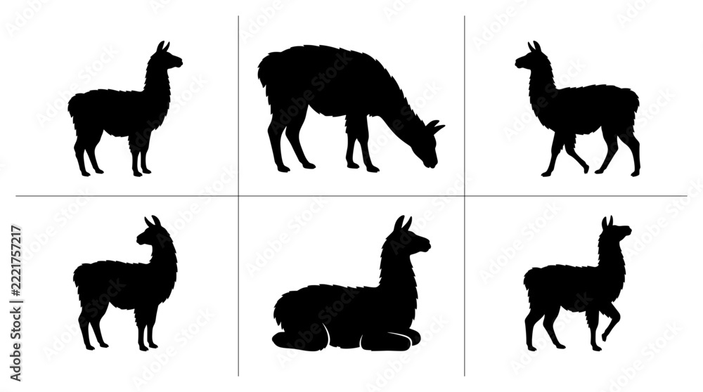 Fototapeta premium Llama silhouettes set with standing, grazing and resting poses for logo or signage