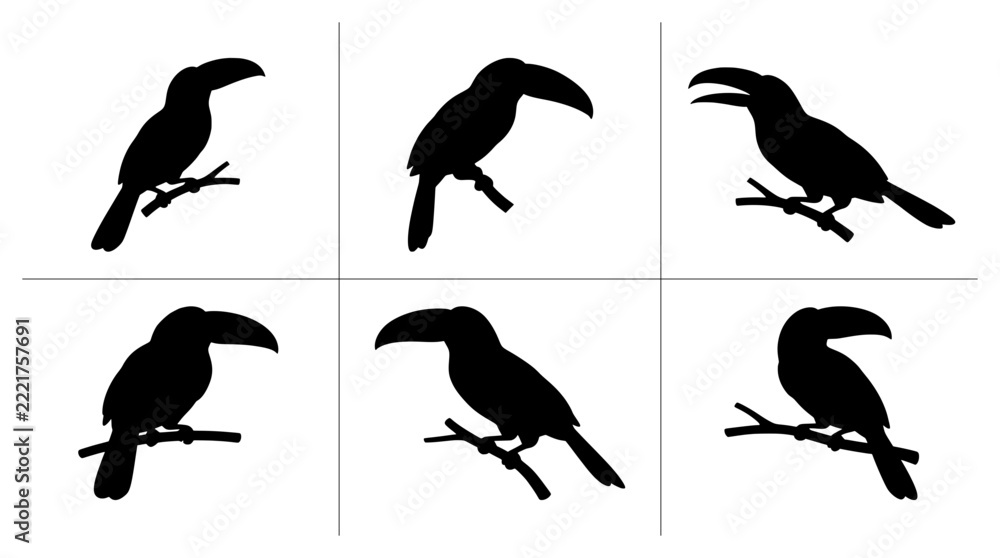 Fototapeta premium Toucan silhouettes set with birds perched on branches for nature logos and designs