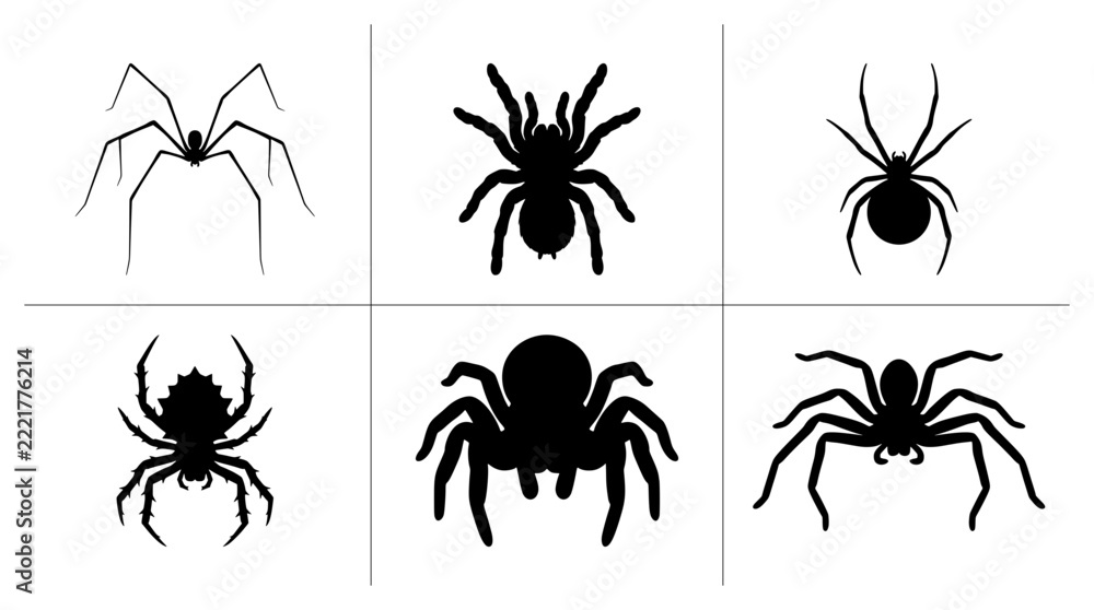 Naklejka premium Spider silhouettes set with various arachnids for Halloween or nature design