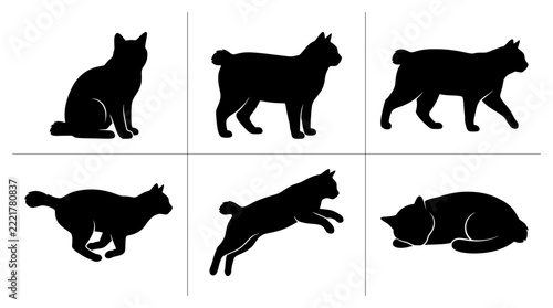 Fotografie American Bobtail cat silhouettes set with sitting, standing, walking, running, j