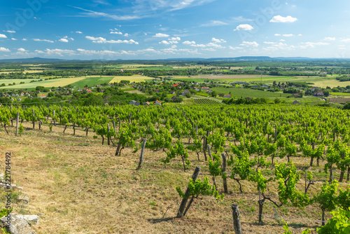 Obraz na plátně Hungarian Somlo wine region vineyard landscape Somlovasarhely