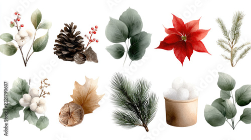 Watercolor collection of christmas and winter botanical elements featuring pinecones, poinsettia, holly, snowballs, and eucalyptus, creating a festive holiday atmosphere