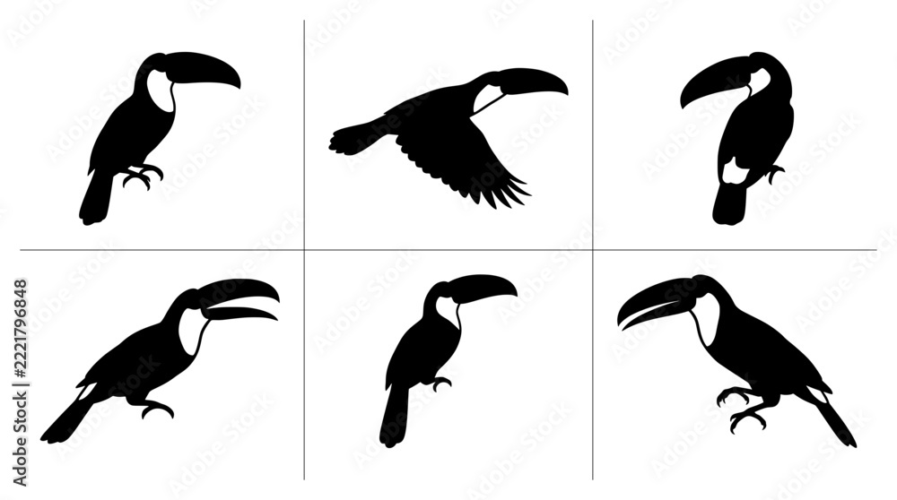 Fototapeta premium Toucan silhouettes set with birds in flight and perched for nature logos and prints
