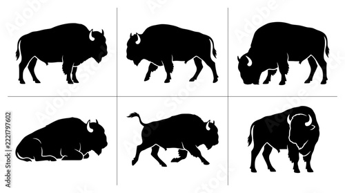 Bison silhouettes set with standing, grazing, running and resting poses for wildlife or conservation themes
