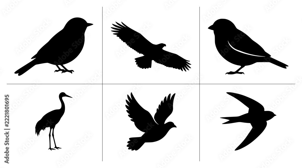Fototapeta premium Bird silhouettes set with eagle, crane, dove and sparrows for nature logos