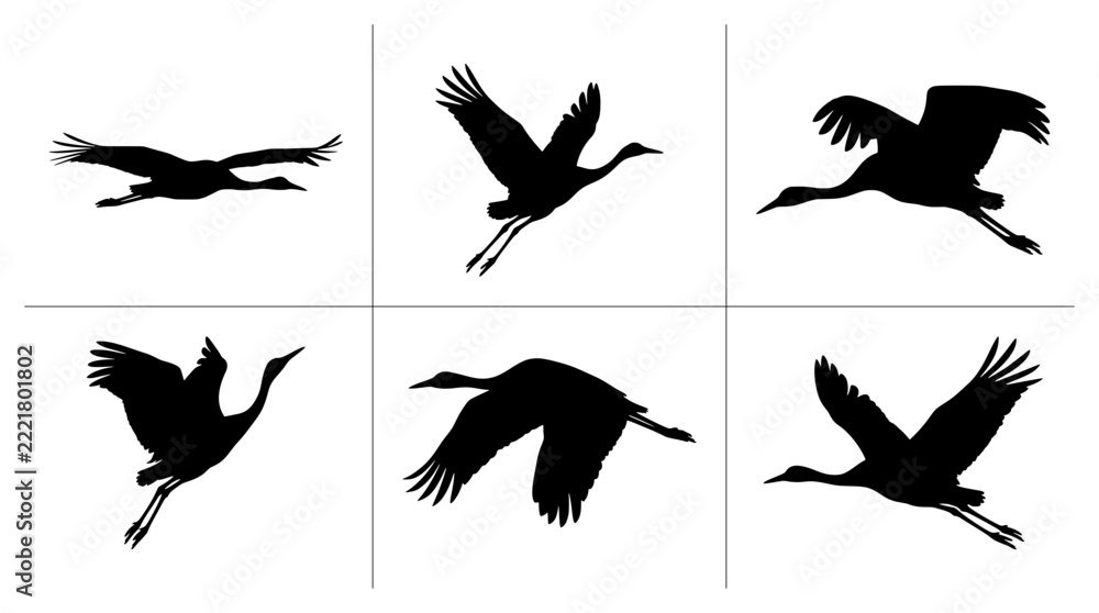 Fototapeta premium Crane silhouettes set in flight with various wing and leg positions for nature logos and signage
