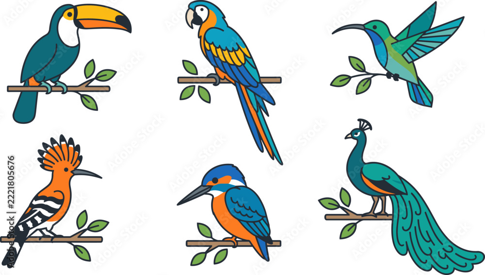 Fototapeta premium Exotic tropical bird vector collection with toucan, macaw, and peacock in flat line art. 