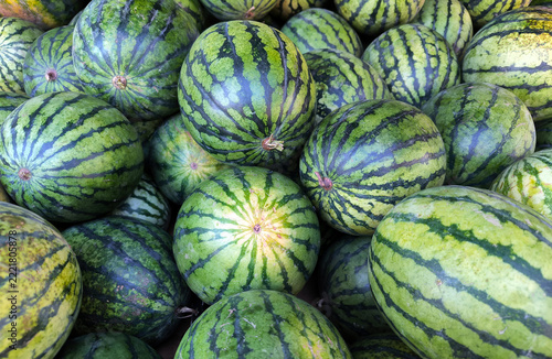 Fresh Watermelon Harvest
