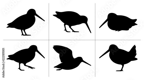 Woodcock silhouettes set with various poses for nature logos and design