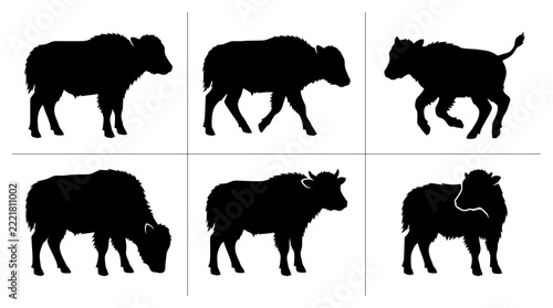 Yak silhouettes set with calf poses for farm and wildlife design