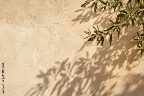 Olive branch and delicate leaf shadows on a warm textured plaster wall