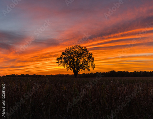 sunset over the field