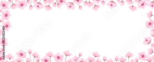Pink Sakura Flowers Border Isolated White Background