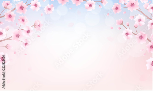 Sakura Flowers Border And Branch Pink And Blue Background