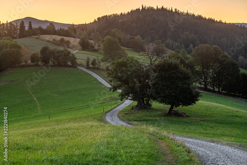Winding mountain road through green meadows at Cieńków Niżni in Wisła, Silesian Beskids, Poland