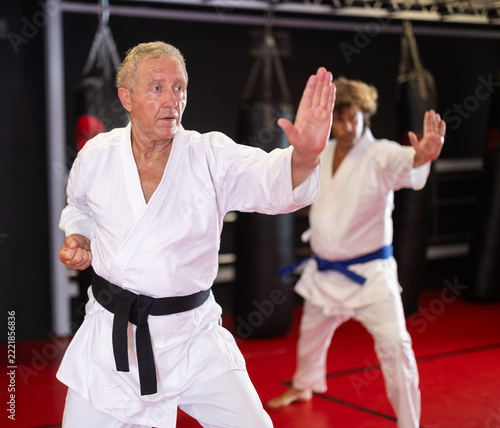 Obraz na plátně Focused active elderly man wearing white kimono with black belt performing kata routines to hone martial arts skills in training room with fellow fighter